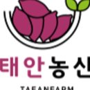 안면도농산 이미지