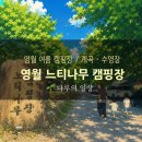 느티나무 | 영월 느티나무캠핑장 후기｜계곡·수영장 모두 만족한 영월 가족 캠핑장