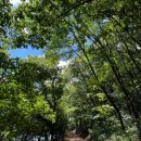 조마루감자탕(석현점) 이미지