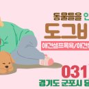 도그비잉 펫케어 이미지