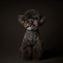 에이티원샵 이미지