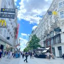 잘츠부르크 오케스트라 솔리스텐 공연 | 오스트리아 자유 여행 9월 10월 날씨 잘츠부르크 할슈타트 비엔나 추천