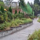 양운초교 이미지