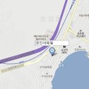 영진어페럴 이미지