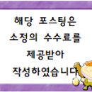 네일524