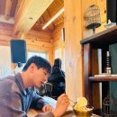 가온마을603동앞녹지 | 은평구 북한산 뷰 은평한옥마을 카페 주말방문 내돈내산 솔직 후기(우유빙수) : 스페이스 헬레나(space...