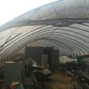 내사농장 이미지