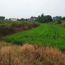 평택목장 이미지