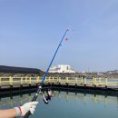 낚고락고 | 제주 낚시체험 신흥바다낚시공원 (낚고락고) 후기!