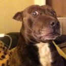 고운치과 이미지