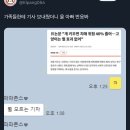 고양이는 눈빛만 마주쳐도 노화방지 이미지