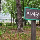 상동교 네거리 | 대구 상동교의 이서공원에서 만난 6월의 자연에너지