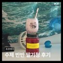 딸기카페 | 딸기 과육 가득한 초코써니 반반딸기청, 카페 부럽지 않은 홈카페 딸기라떼 후기