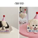 댕유
