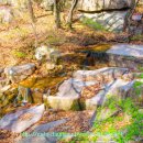 불암버스정류장 이미지