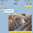스토리양꼬치