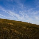 Seven Sisters England 2009 이미지