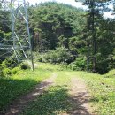 경남 의령, Y자 출렁다리 - 남산(321m) 둘레길 이미지