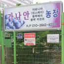 가나안마트 이미지