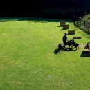 노블라인 도베르만 이미지