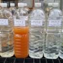 에벤에셀농장 이미지