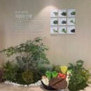 초담집