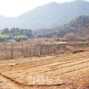 김해스포츠