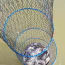 중부낚시터 이미지