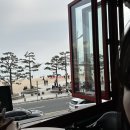 슈슈PC | 부산 광안리 매드독스 시카고피자 해운대 맛집 뷰맛집💛