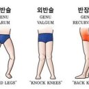 엑스(x)휘트니스 이미지