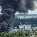 서구-02-50 이미지