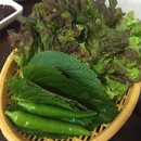 더갈만