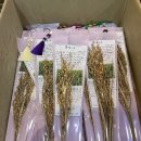 오산청년마을협동조합 | 우리가 함께 쌓아온 이야기: 2025 전국 도시농업 활동가 동지대회 성황리에 끝났습니다.