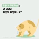 이천종합동물병원 이미지