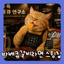 남영기획인쇄 | 유용욱 바베큐연구소 갈비라면, 과자로 먹어봤습니다, 스윙칩 바베큐 갈비라면맛