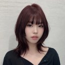 살롱드라라 - 서구 | 살롱드라라
