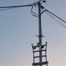 청진하다 별채 이미지