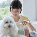 고그린오브젝트