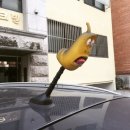 레디포짐 이미지