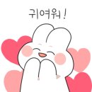 마곡나무 동물병원 이미지