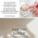 우후죽순(유) 이미지