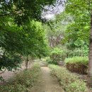 백야자연휴양림 이미지