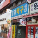 송파영탁구클럽