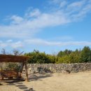 서쪽강생이 이미지