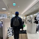 후쿠오카에서 트립트랩 사오기 - 세미절망편 (blossom39, 이와타야백화점)