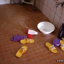 새빛 기독보육원 이미지