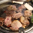 빽고기 이미지