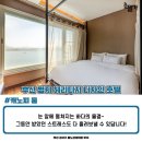 헤리티지 디자인 호텔 Daum카페