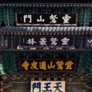 경남탑정비 | 양산축제 통도사 미디어아트 가을밤 감성 미쳤어요(시간, 주차, 입장료, 애견동반 유무)