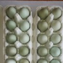 (주)이엠알 이미지